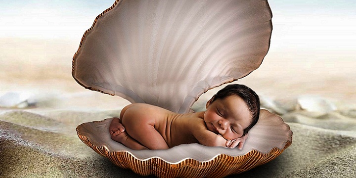New born baby in sea shell wallpapers - بعد از تولد نوزاد نارس چه بايد کرد؟