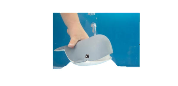 بازی وال برند تولو Tolo Whale 600x292 - اسباب بازی وال برند تولو | Tolo Whale