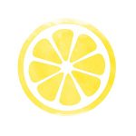 lemon diaper bag logo لمون